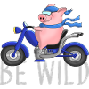 Lustiges Schwein auf Motorrad Comic