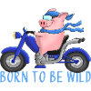 Ulkiger Motorradfahrer