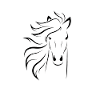 Cheval de dressage