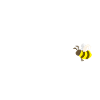 Beekeeper @ work