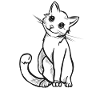 cute cat