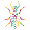 Ant polygon