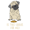 Chien Cookie Cookie Mops Cadeau