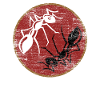 ant
