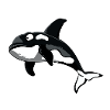 Orca killer shark shirt