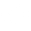 Turtle 23
