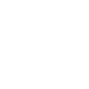 Modern fly