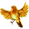 yellow bird