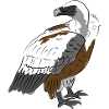 Impressive vulture in nature style