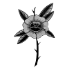 Old School Rose