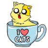 I love cats!