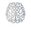 Brain
