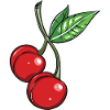 cherry