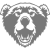 teddy bear wild animal drawing 2706