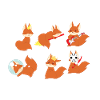 Fox - Fox T-Shirt - Fox Fan - Divertente