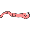 Funny Worm