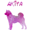 Akita en aquarelle