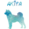 Akita en aquarelle