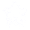 Étoile blanche