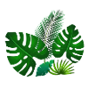Green tropical leaves