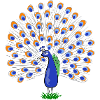 Bunte Pfauenfeder Illustration