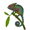 Chameleon