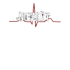 Notarzt