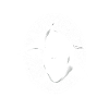 Orca