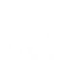 Orca Tierschutz