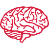 Brain