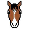 Cheval - visage de cheval