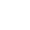 Katze mit Besen