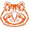 cat cat wild animal 29
