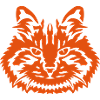 cat cat animal wild 292