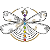 Chakra Dragonfly