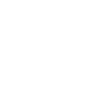 dinosaur