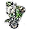 Stunt biker