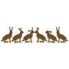 6x Feldhase