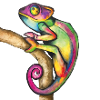 Chamäleon