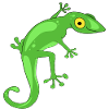 lizard