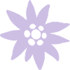 Edelweiss