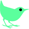 Turquoise birdie