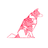 Border Collie geometrisch