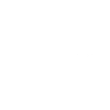 INTERPOL