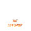 SAME SAME BUT DIFFERENT