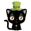 saint patric day cat