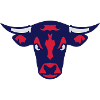 beef bull bull 107