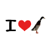 I love running ducks