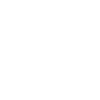 USA X