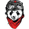 Panda pilot